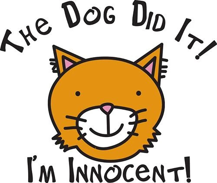 Im Innocent