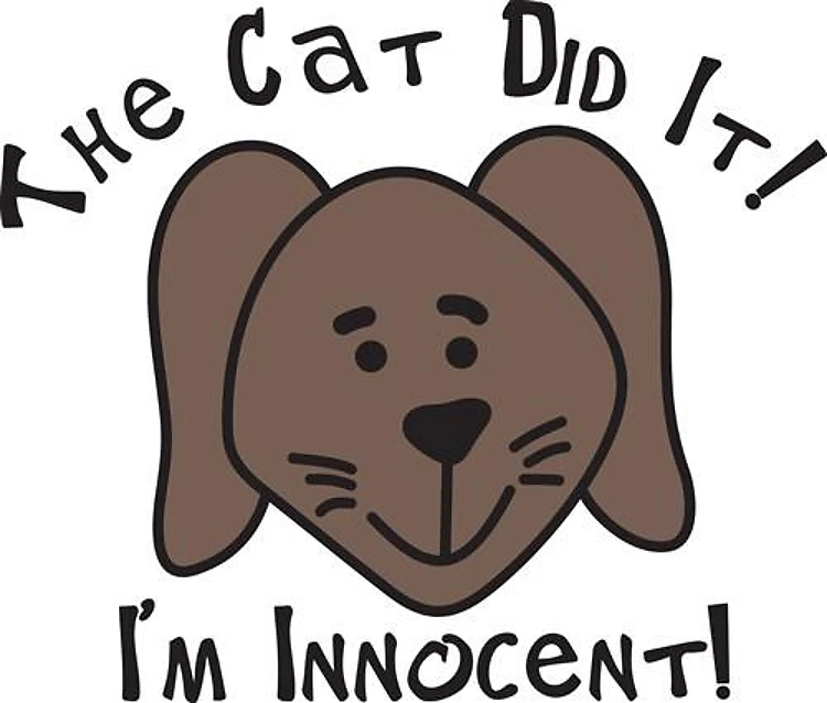 Cat Did It