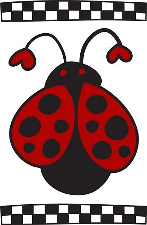 Ladybug Bug