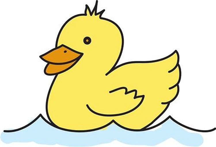 Duck Swimming