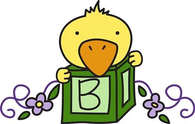 Duck Baby Block