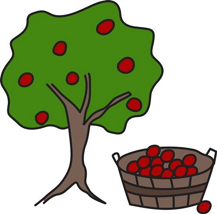 Apple Tree