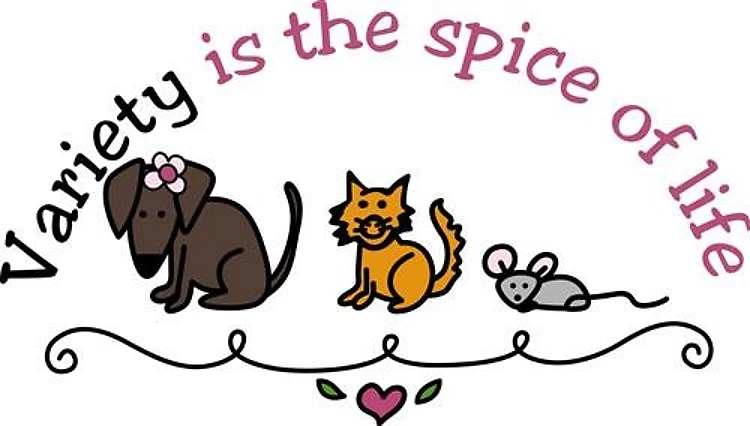 Spice Of Life