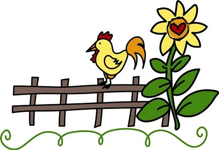 Rooster On Fence