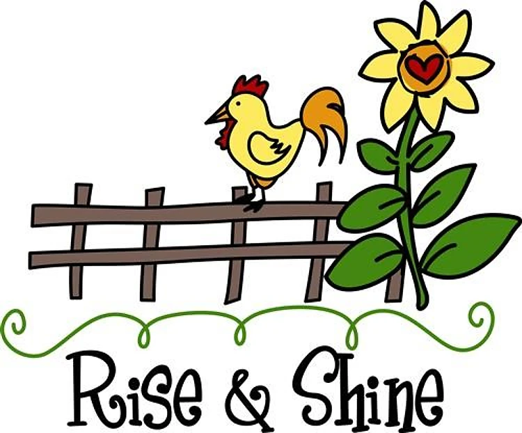 Rise & Shine