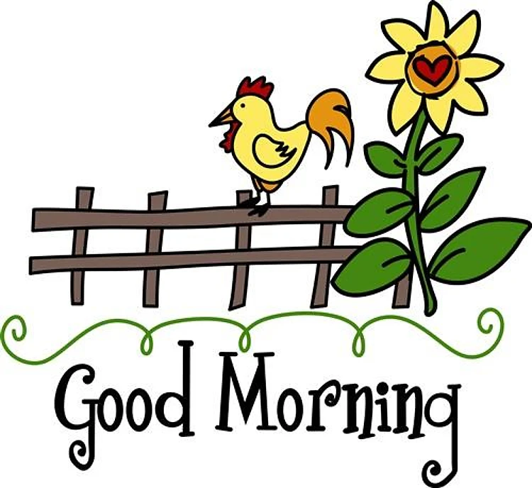 Good Morning