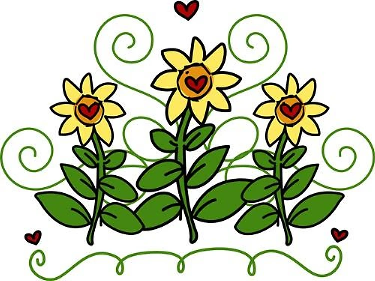 Sunflowers