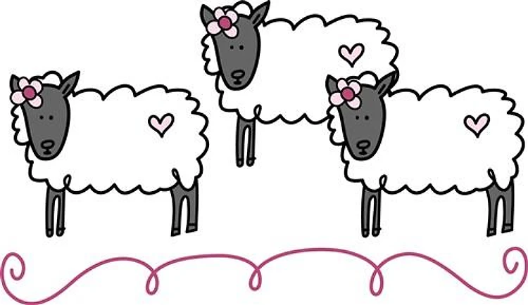 Sheep