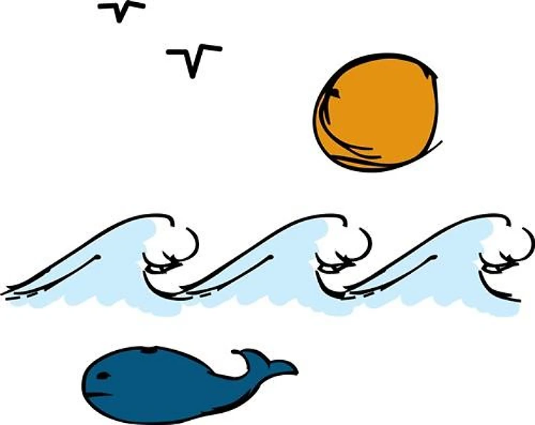 Ocean Waves