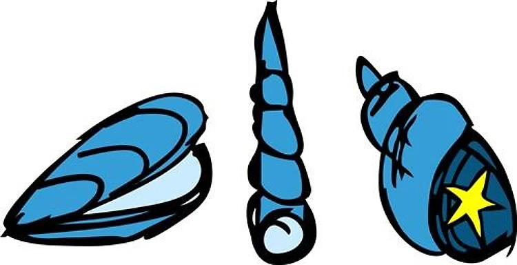 Three Shells