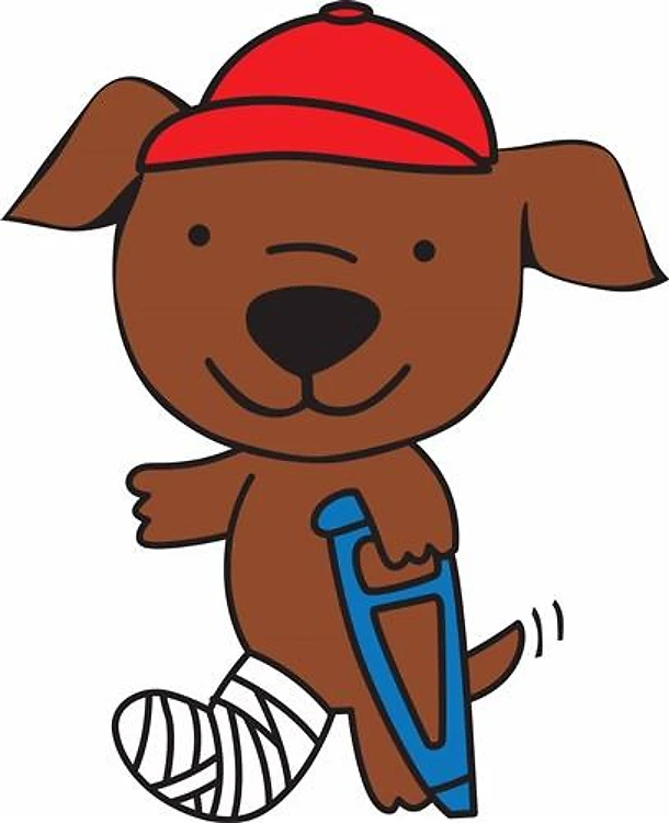 Broken Leg Dog