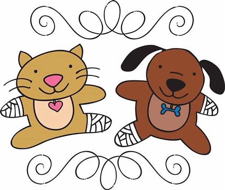 Dog & Cat Vet
