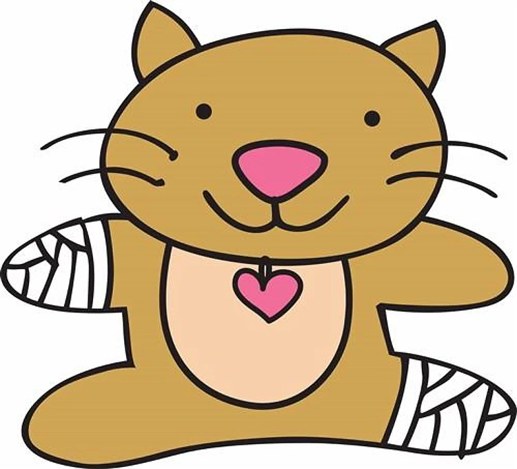 Sick Kitty