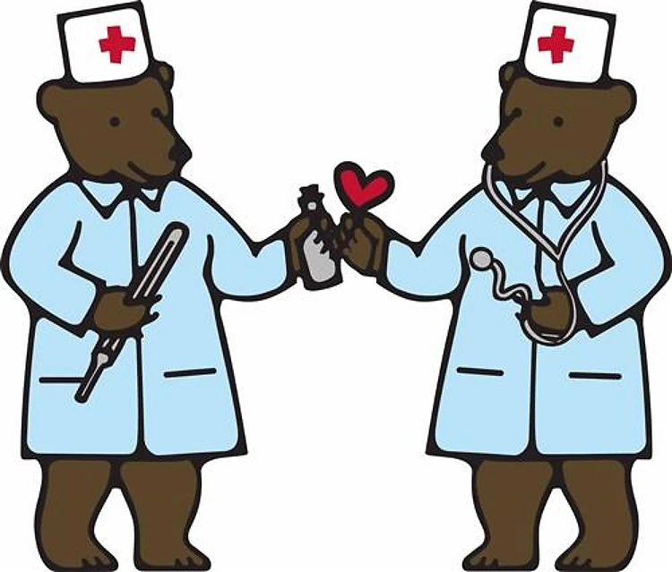 Veterinarian Bears