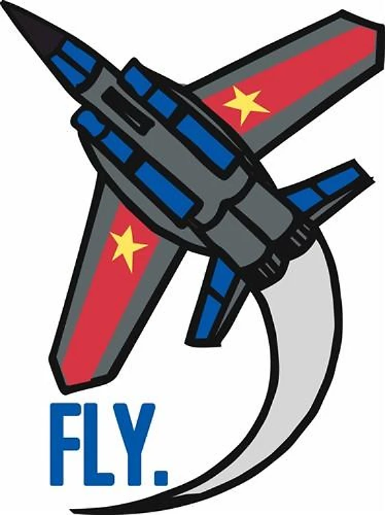 Fly