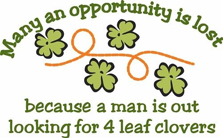 Irish Opportunity Lost