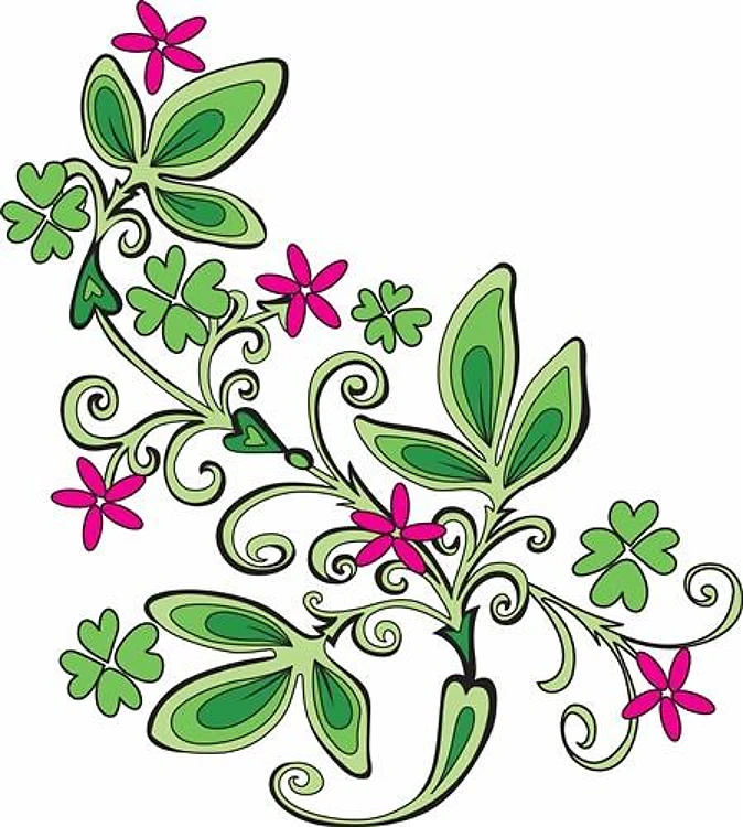 Pink Flower Vine