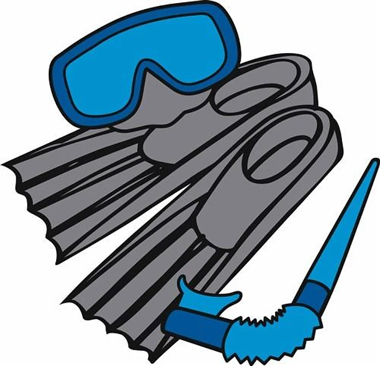 Snorkel Gear