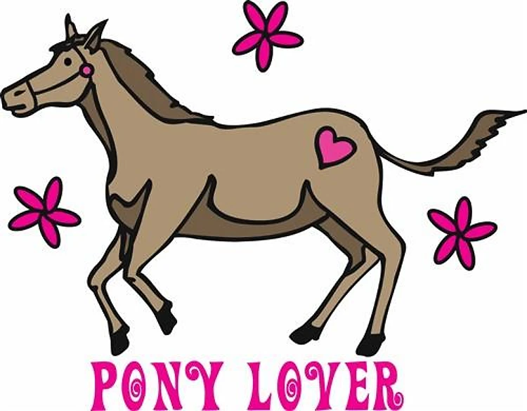 Pony Lover