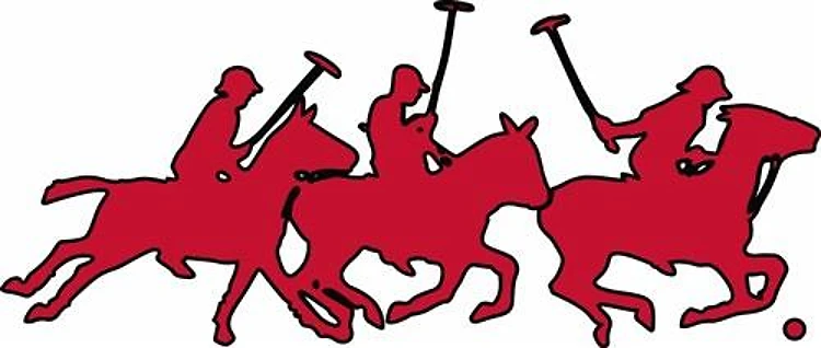 Polo Horses