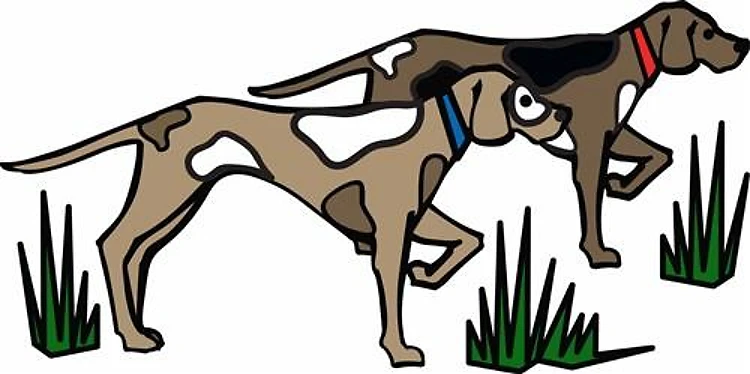 Hound Hunt