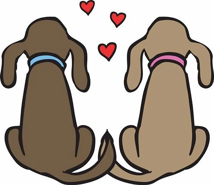 Valentine's Day Puppies