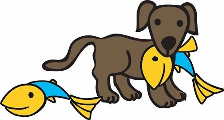 Dog Fish Catch