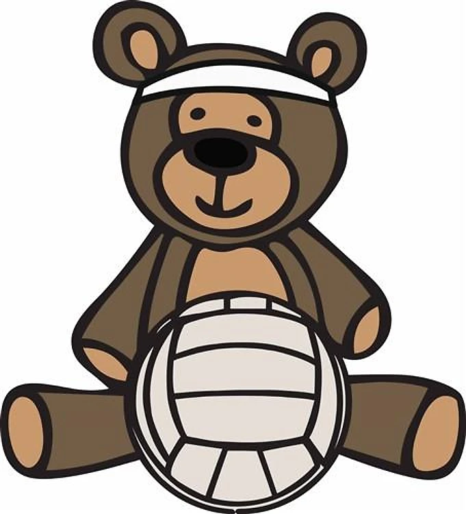 Volleyball Teddy Bear