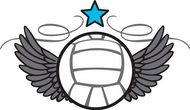 Winged Volleyball