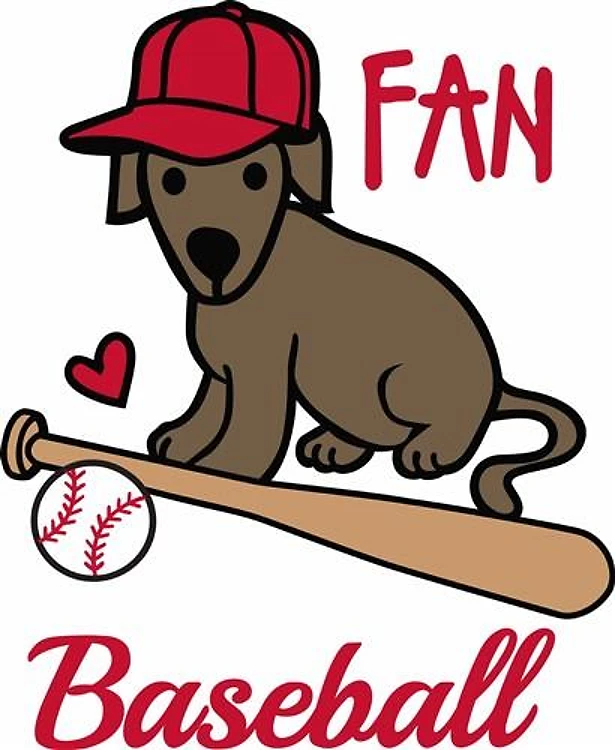 Baseball Fan