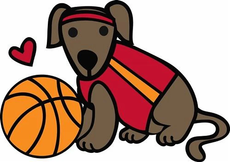 Basketball Dog