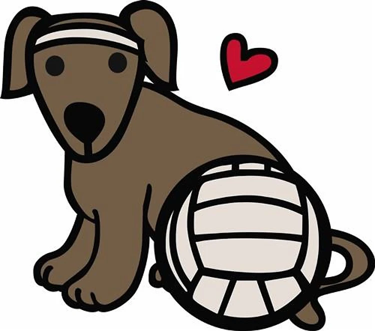 Volleyball Dog