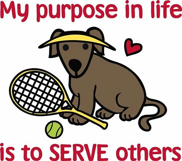 My Purpose In Life