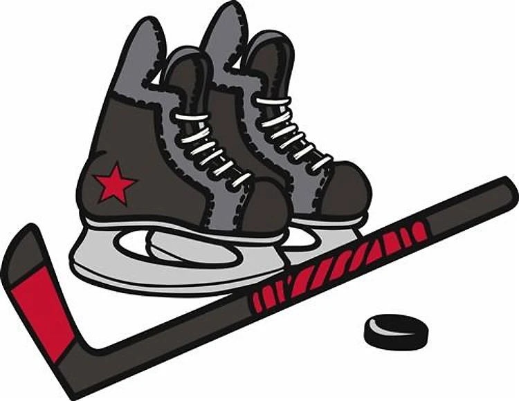 Hockey Skates