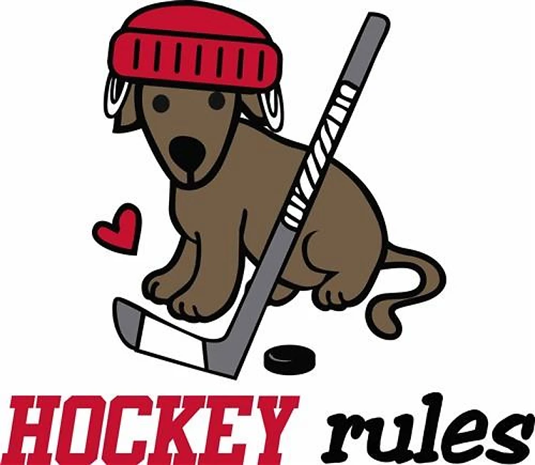 Hockey Rules