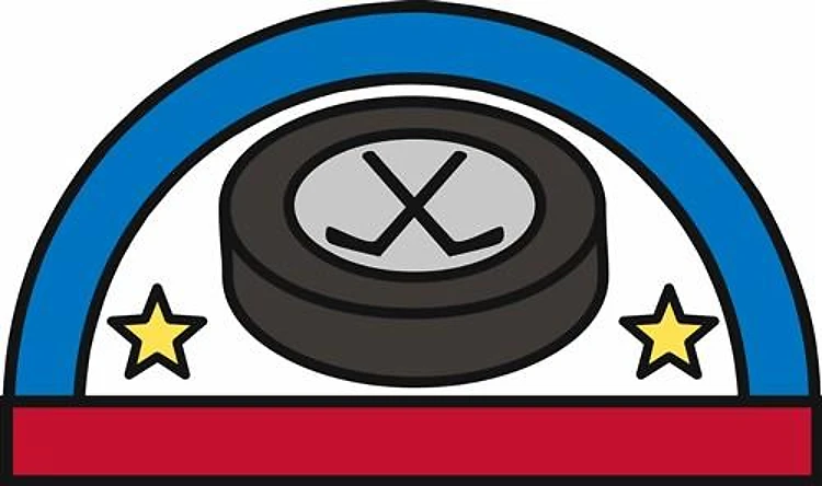 Hockey Puck