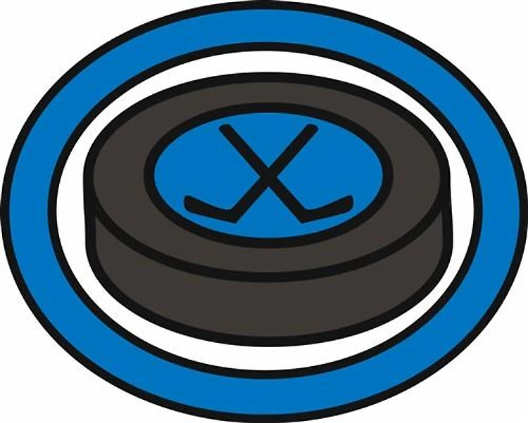 Ice Hockey Puck