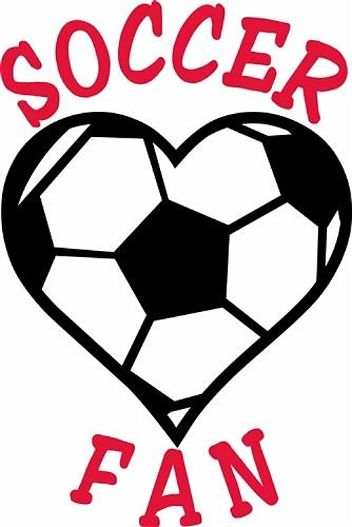 Soccer Fan
