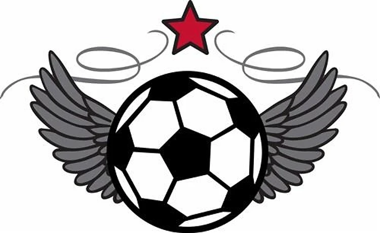 Winged Soccer