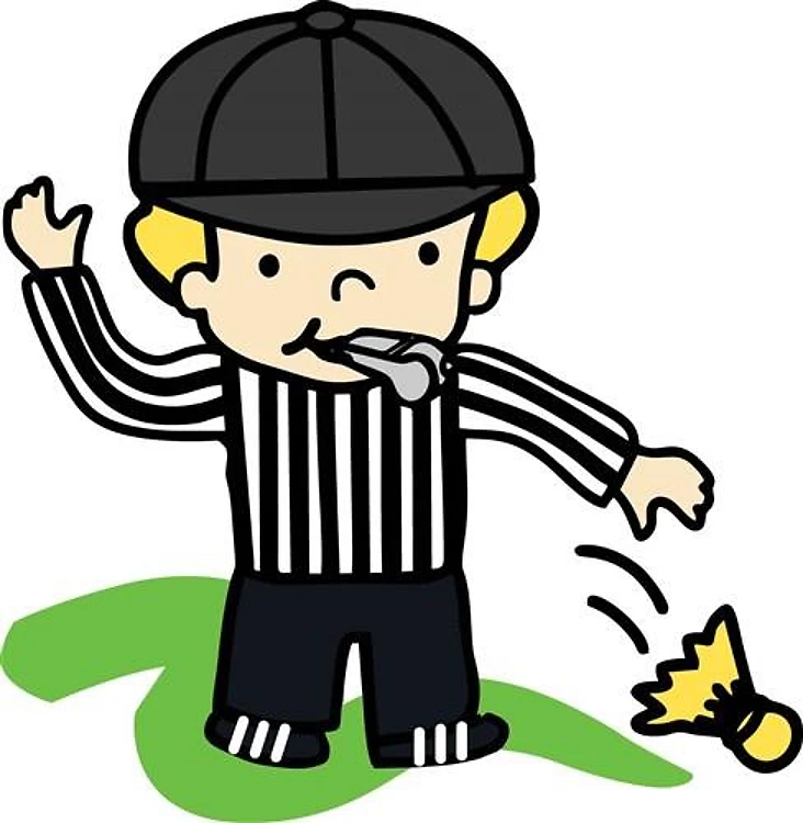 Referee Flag