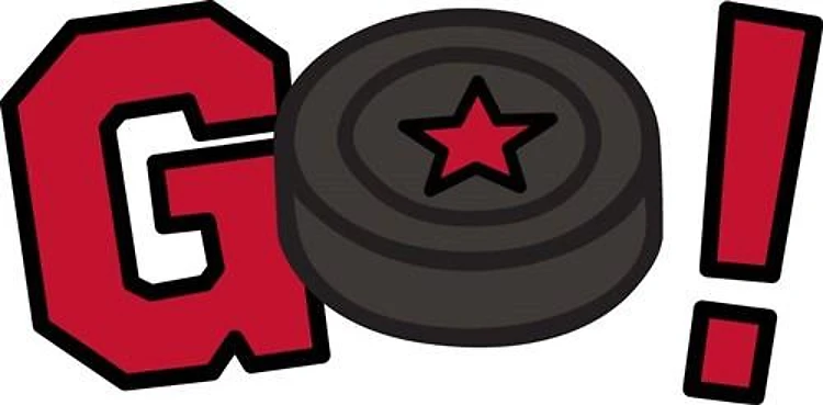 Go Hockey