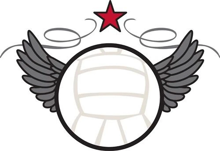 Winged Volleyball