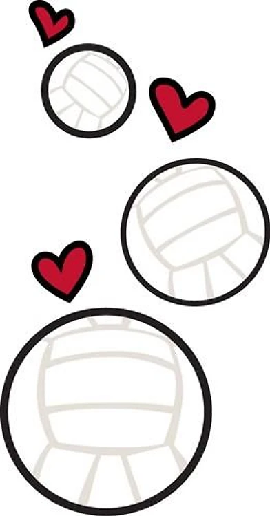 Love Volleyballs