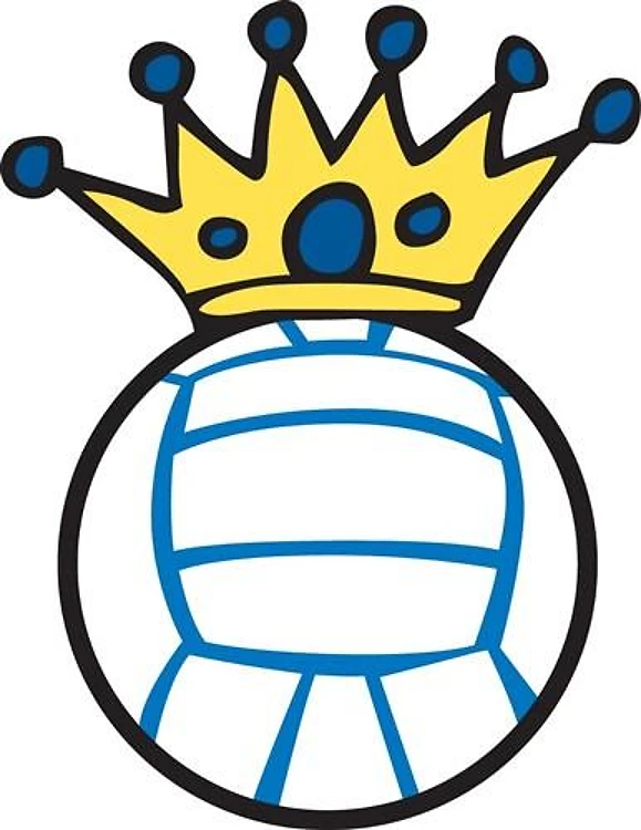 Volleyball King