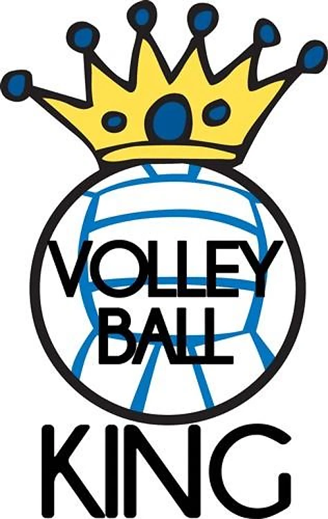 Volleyball King