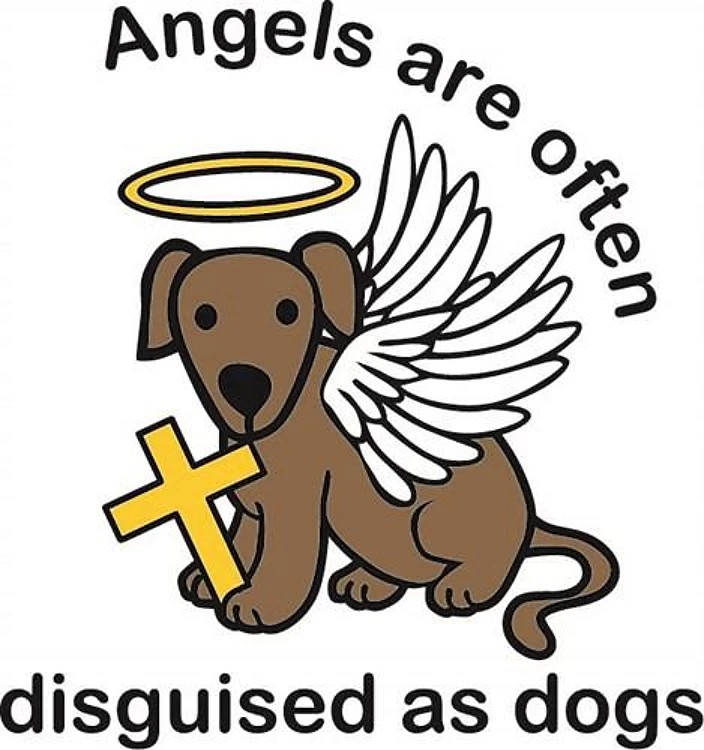 Disguised Angels