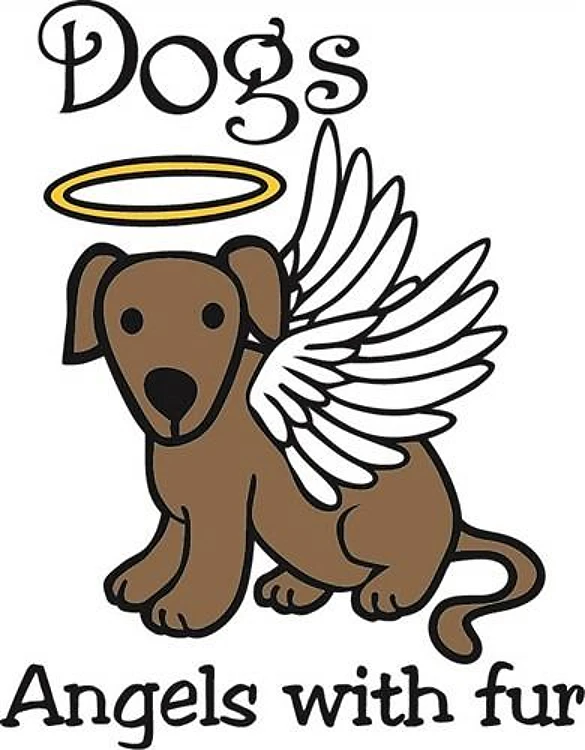Angels With Fur