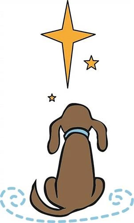 Religious Dog