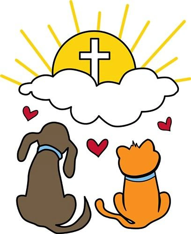 Dog & Cat