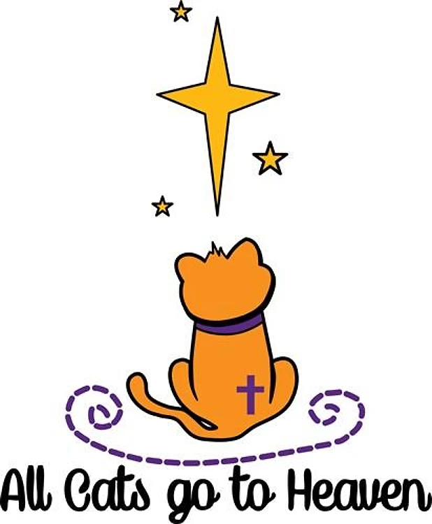 Cats Go To Heaven